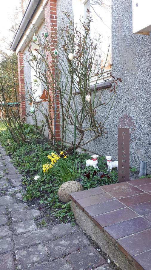 Ferienhaus In Buesumer Deichhausen - Buesum An Der Nordsee Fuer Bis Zu 9 Personen Zewnętrze zdjęcie